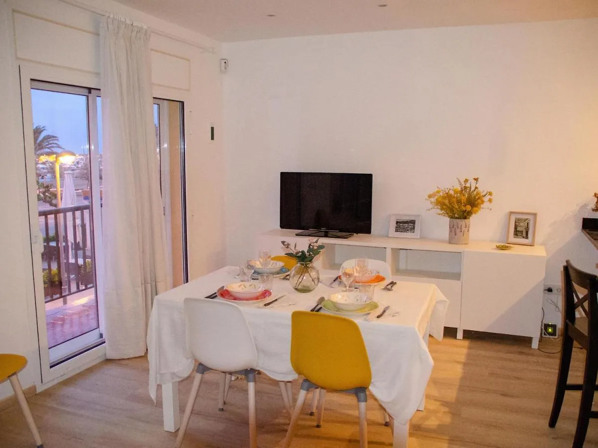 Narcis Monturiol - Apartamento Con Terraza Y Vistas A La Playa Del Port De Llanca. - Es-228-79 Spain